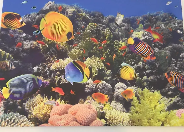 Domo Mea Villasimius