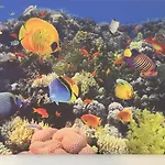 Domo Mea Вилласимиус